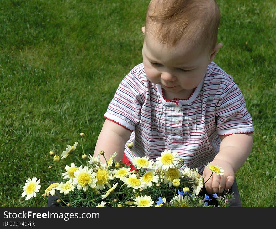 Baby Looking At Yellow Flowers