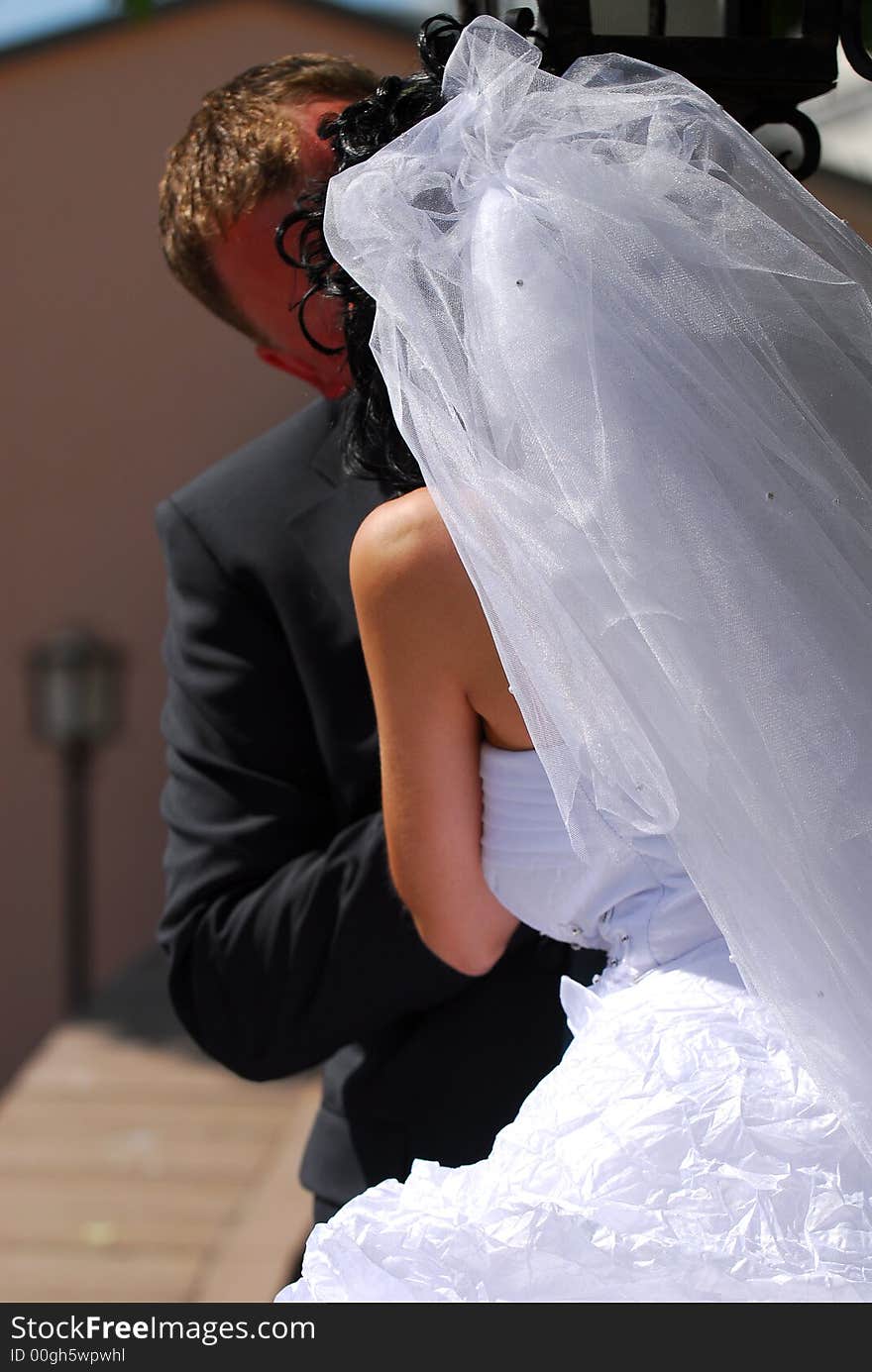 The groom and the bride kiss under a tree. The groom and the bride kiss under a tree