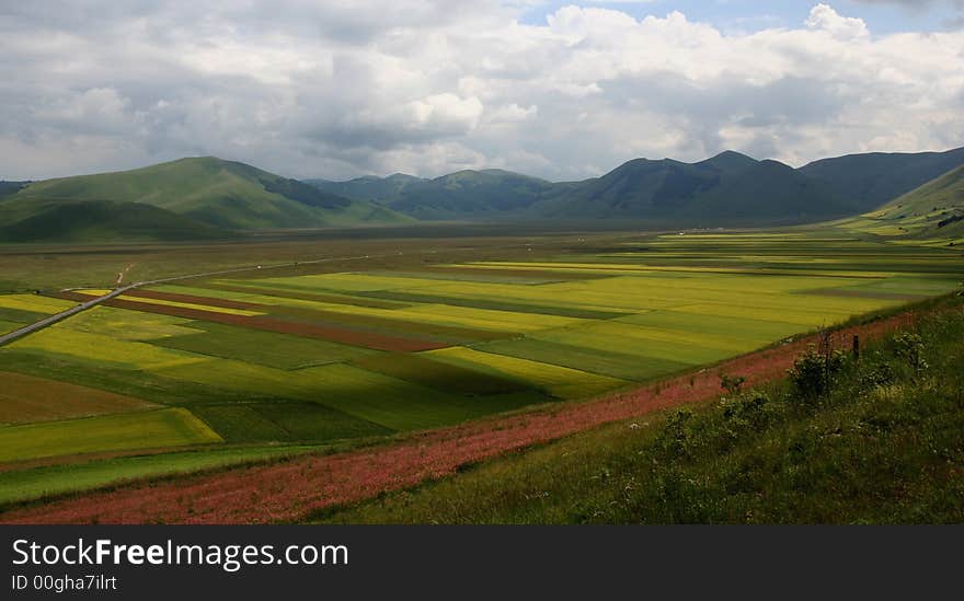 Castelluccio /spring landscape