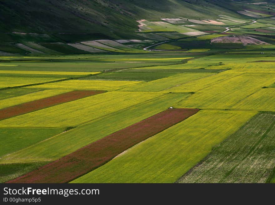 Castelluccio /spring landscape