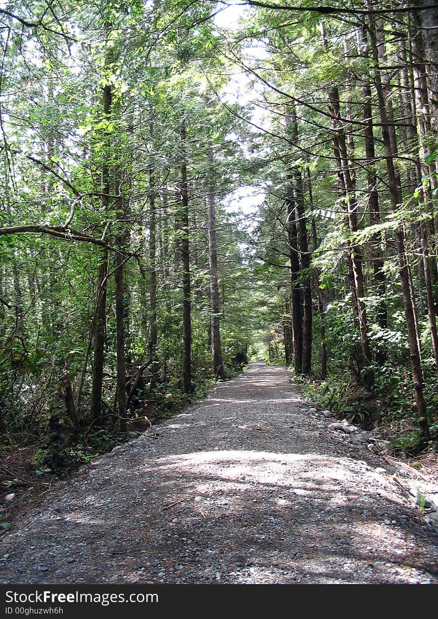 Trail to the sea in a quiet, sunny morning