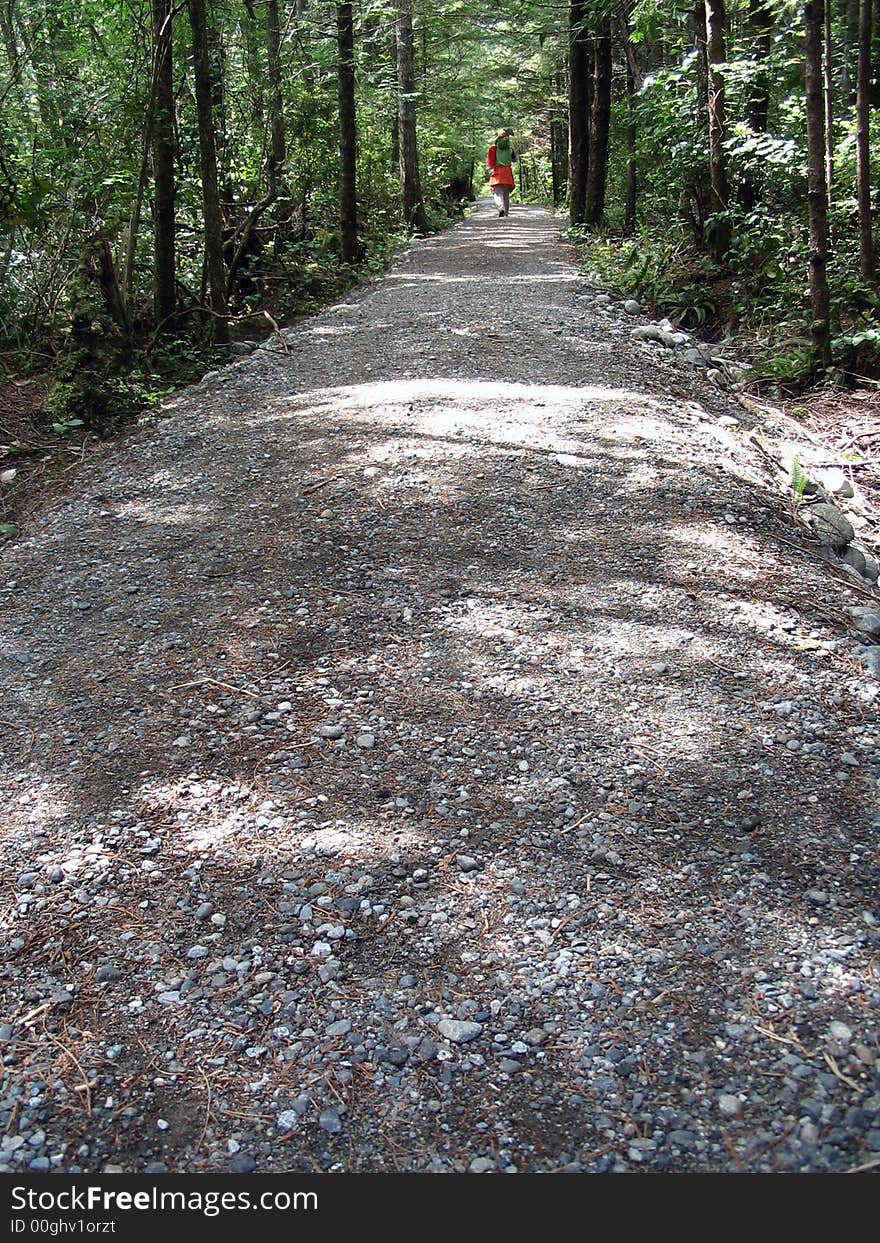 Trail to the sea in a quiet, sunny morning