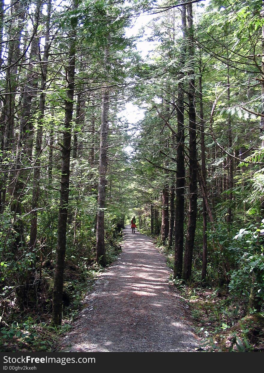 Trail to the sea in a quiet, sunny morning