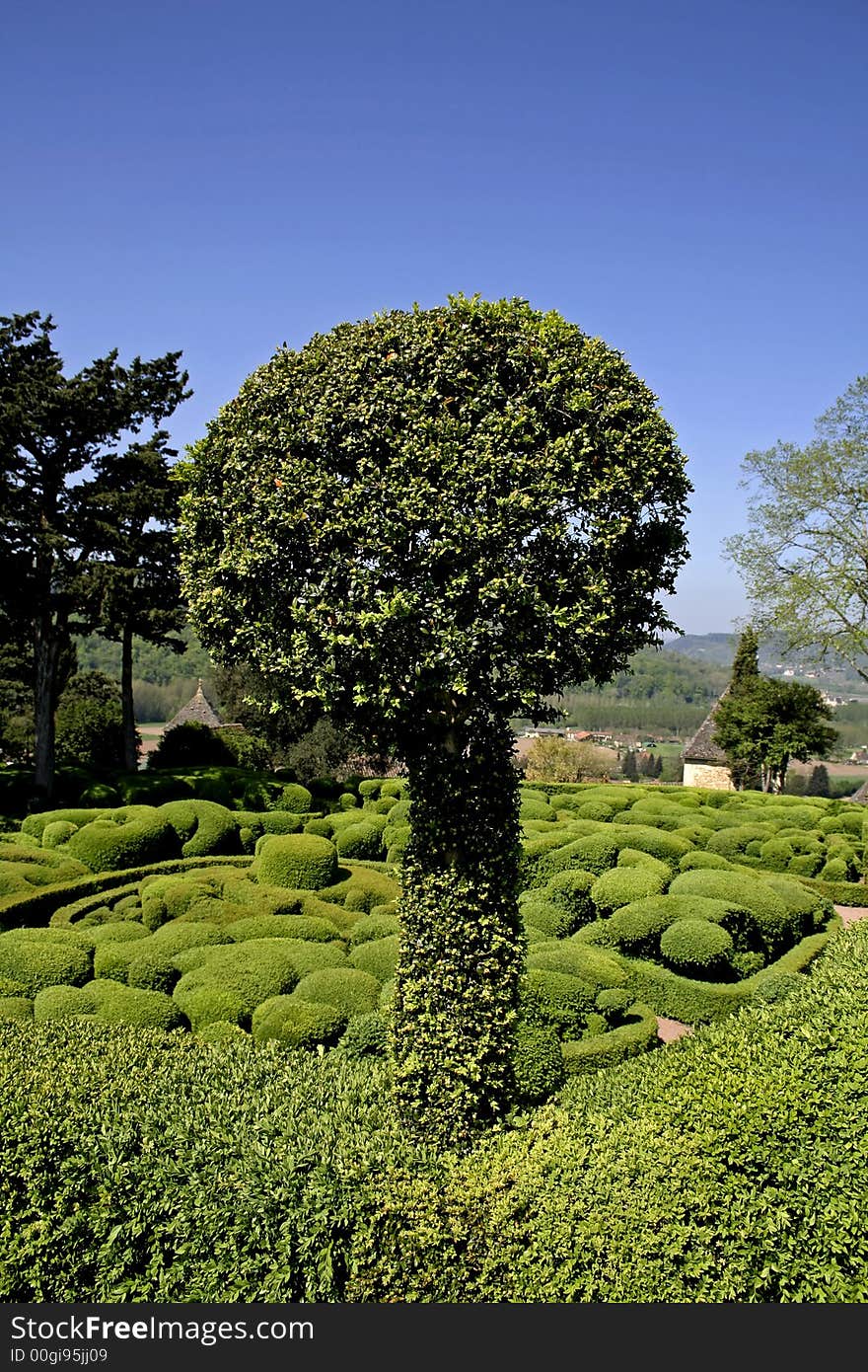 Round shaped box-tree, marqueyssac, france