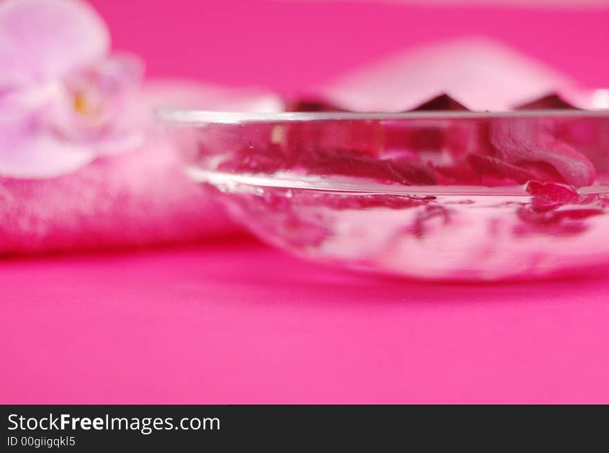 Fresh petals of flowers on the pink background. Fresh petals of flowers on the pink background