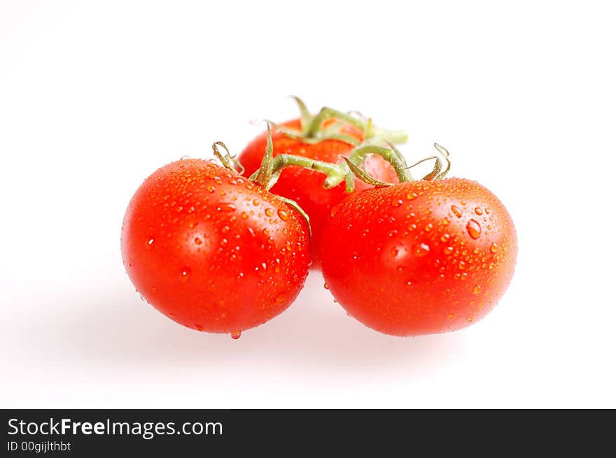 Proud red tomatoes on the bright background