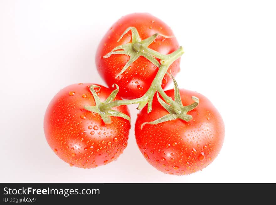 Proud red tomatoes on the bright background