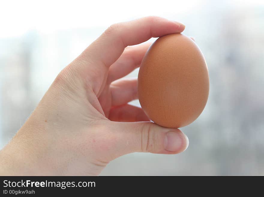 Egg chicken in a female hand