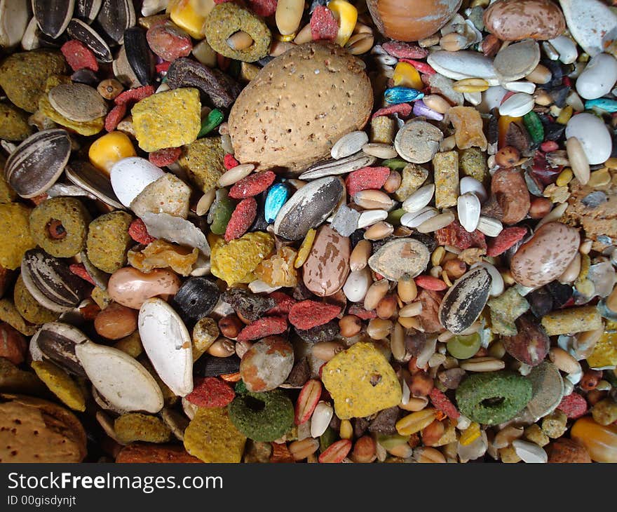 A colorful blend of bird seeds, mixed nuts, dried fruit, and other bird food.