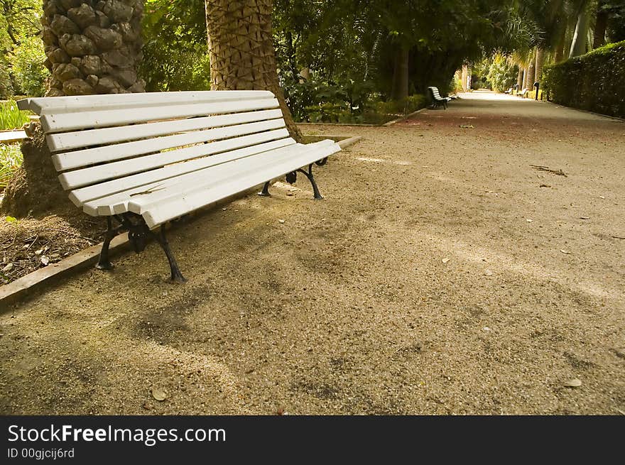 Old white bench in the botanical garden in Valencia. Old white bench in the botanical garden in Valencia.