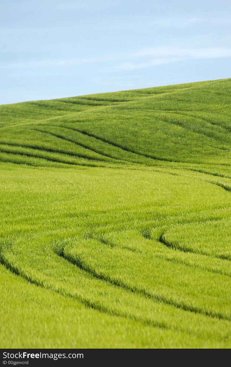 Green hill and blue sky