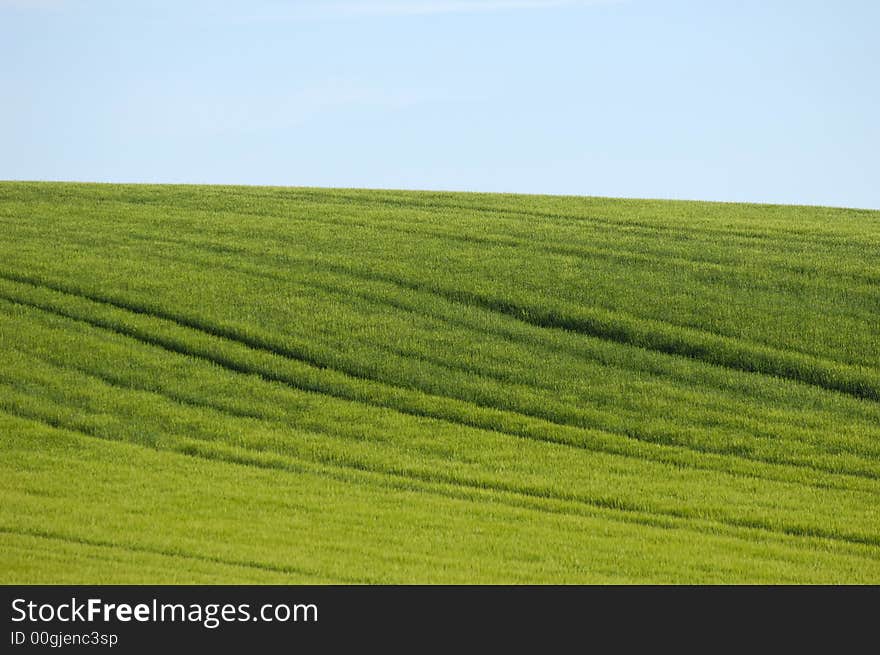 Tracks on a green hill. Tracks on a green hill