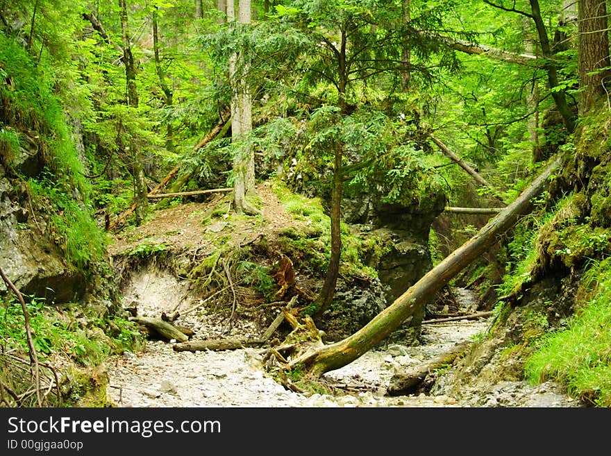 Sucha Bela, canyon in Slovakia