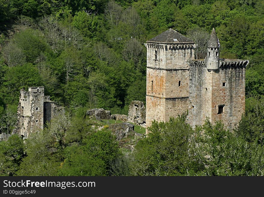 Mediaval castle in forest