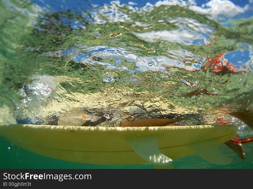 Surfer paddling