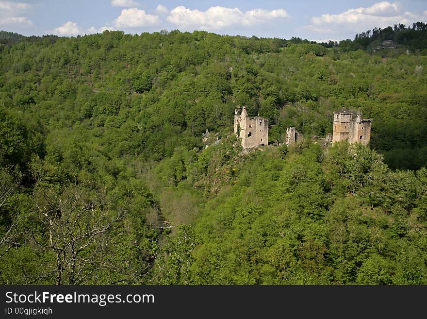 Mediaval castle in forest