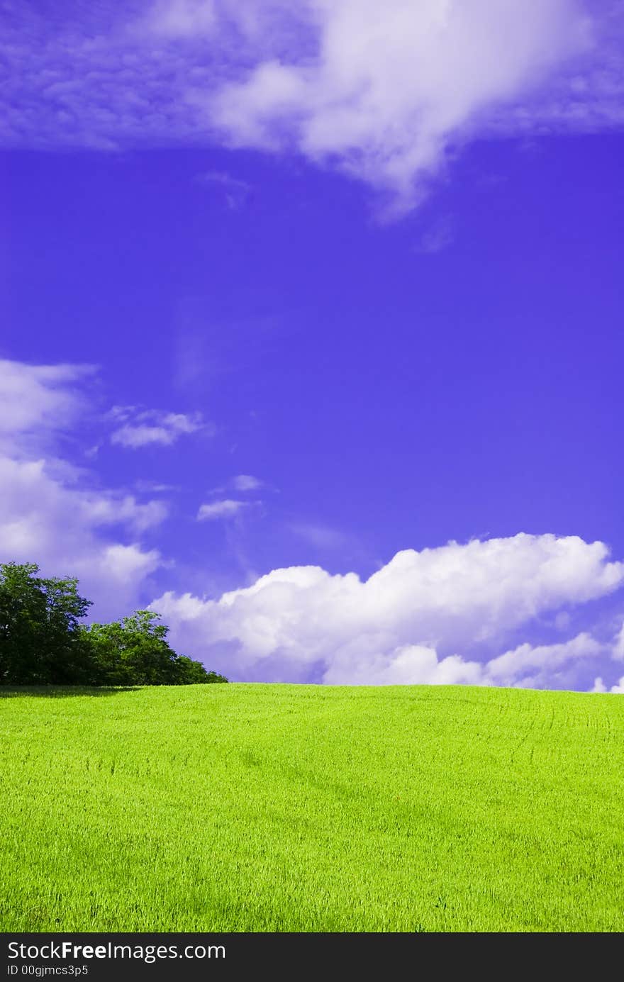 Yellow field and a vivd blue sky in this postcard style photo from Umbria