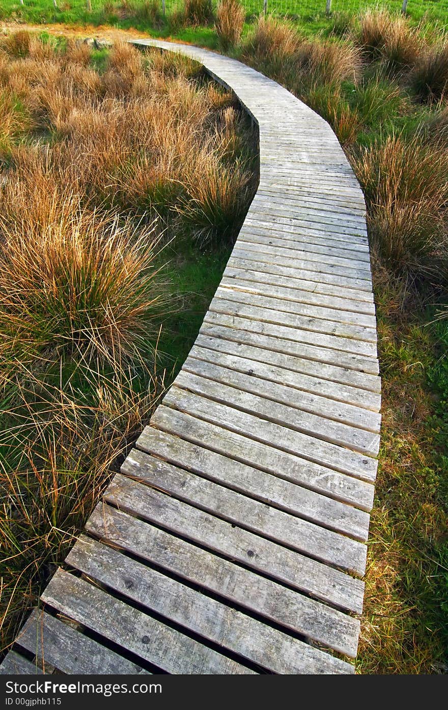 Wooden Path