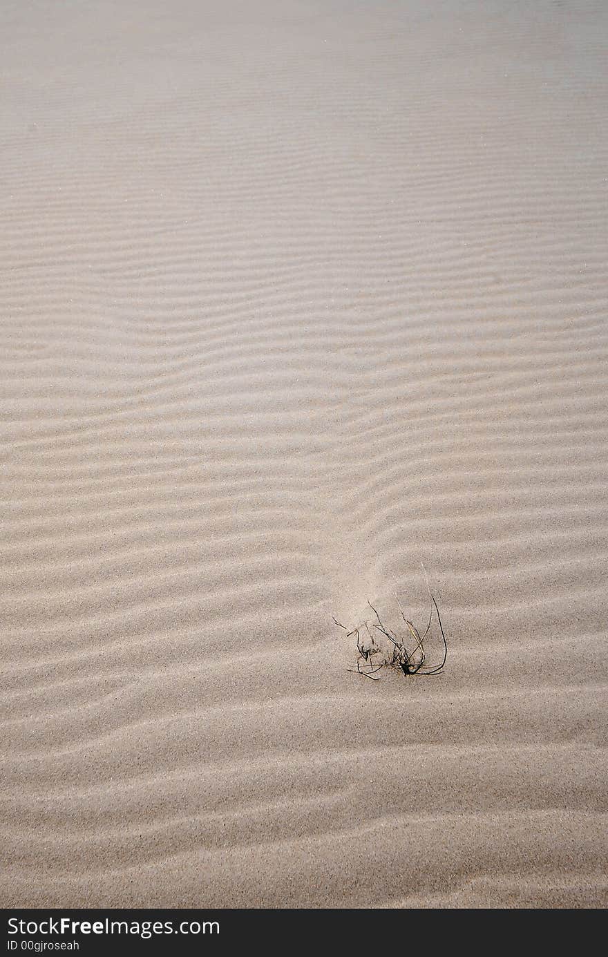 windy pattern on the white sand on the desert. windy pattern on the white sand on the desert