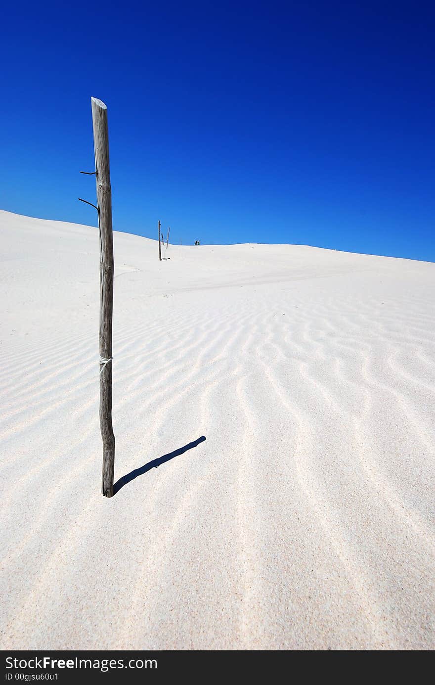 windy texture on the white sand dunes on the desert with dead trunk. windy texture on the white sand dunes on the desert with dead trunk