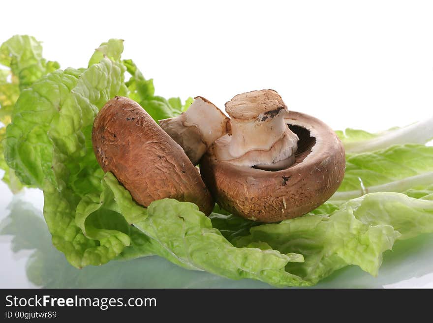 Mushrooms champignons on a salad leaf