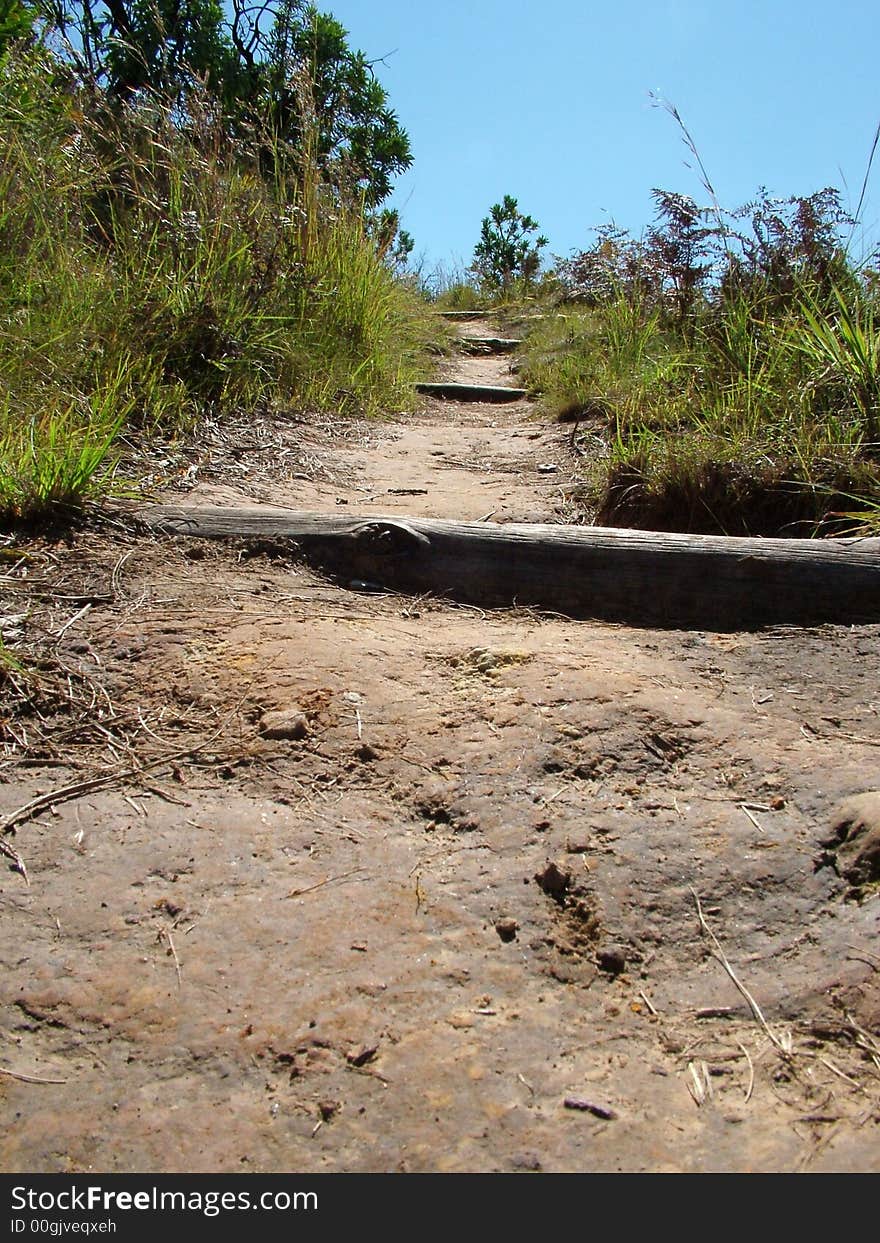 Winding Footpath