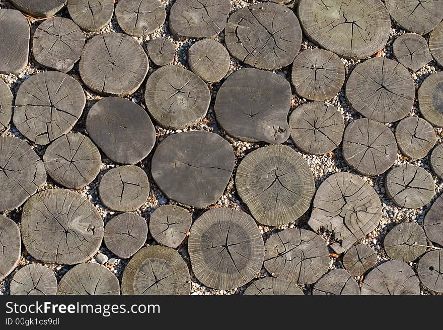 Close-up of wood log abstract texture. Close-up of wood log abstract texture