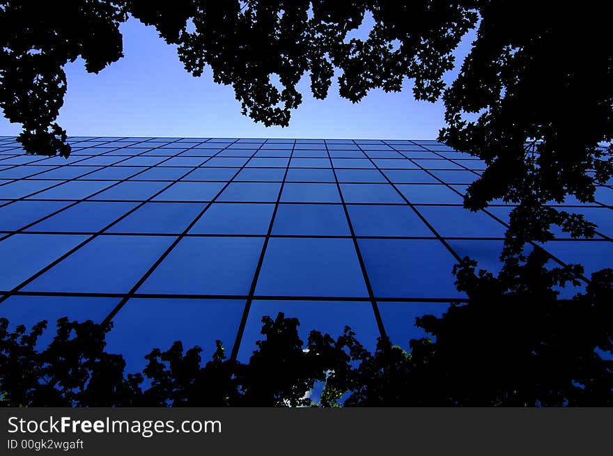 Office building details reflecting, blue sky and trees in windows