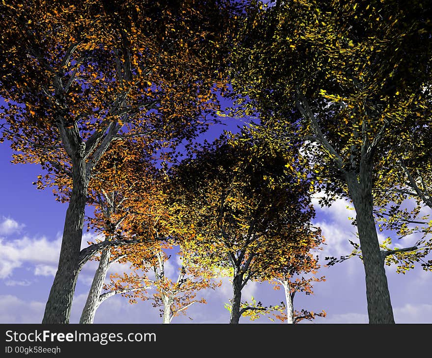 A image of a set of trees in a forest. A image of a set of trees in a forest.