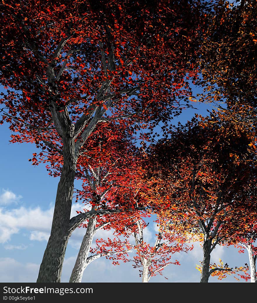 A image of a set of trees in a forest. A image of a set of trees in a forest.