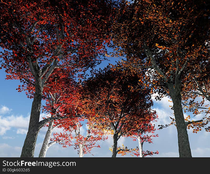 Trees From Below 4