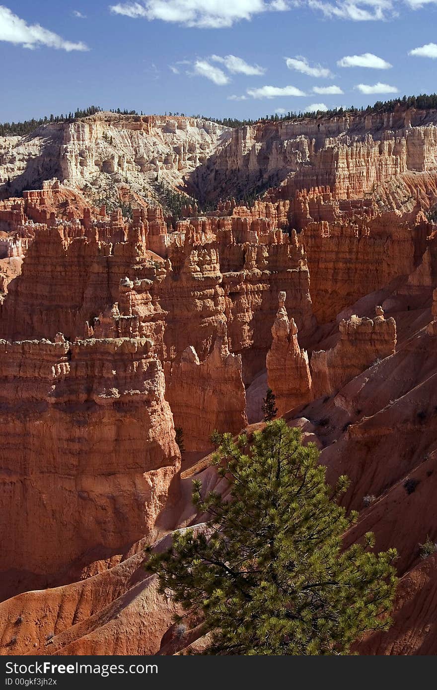 View from Bryce Canyon Rim Trail. View from Bryce Canyon Rim Trail