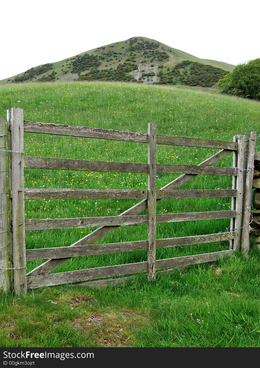 Farm Gate And Meadow