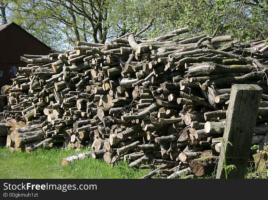 Tree logs stacked in a large pile  drying out. Tree logs stacked in a large pile  drying out