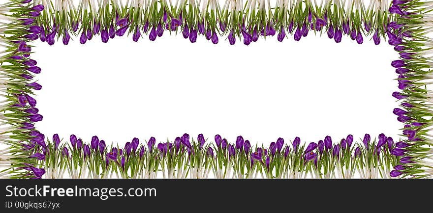 Spring floral frames isolated on white background