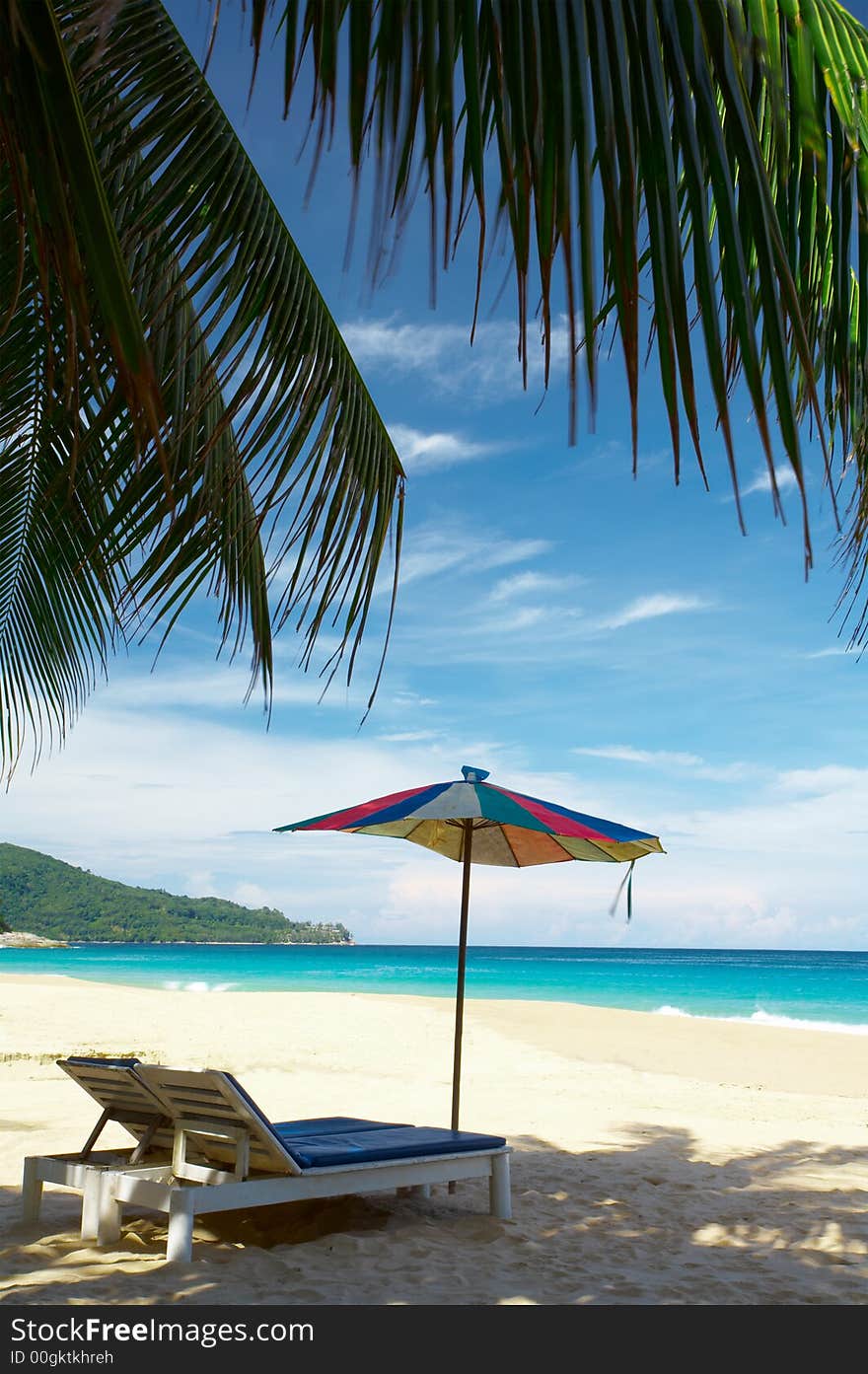 View of big coconut palm and two chairs with umbrella beneath. View of big coconut palm and two chairs with umbrella beneath