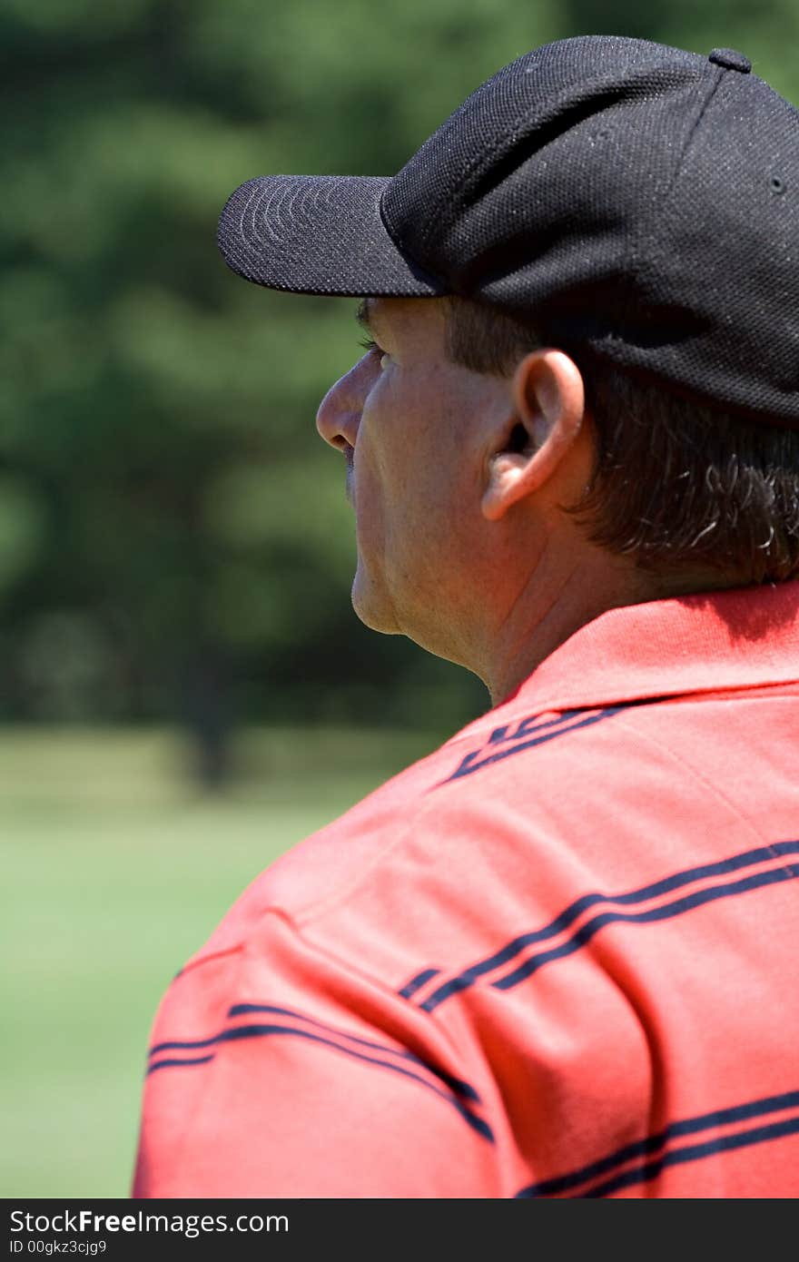 A male golfer studying the lay of a golf course - portrait, profile. A male golfer studying the lay of a golf course - portrait, profile.