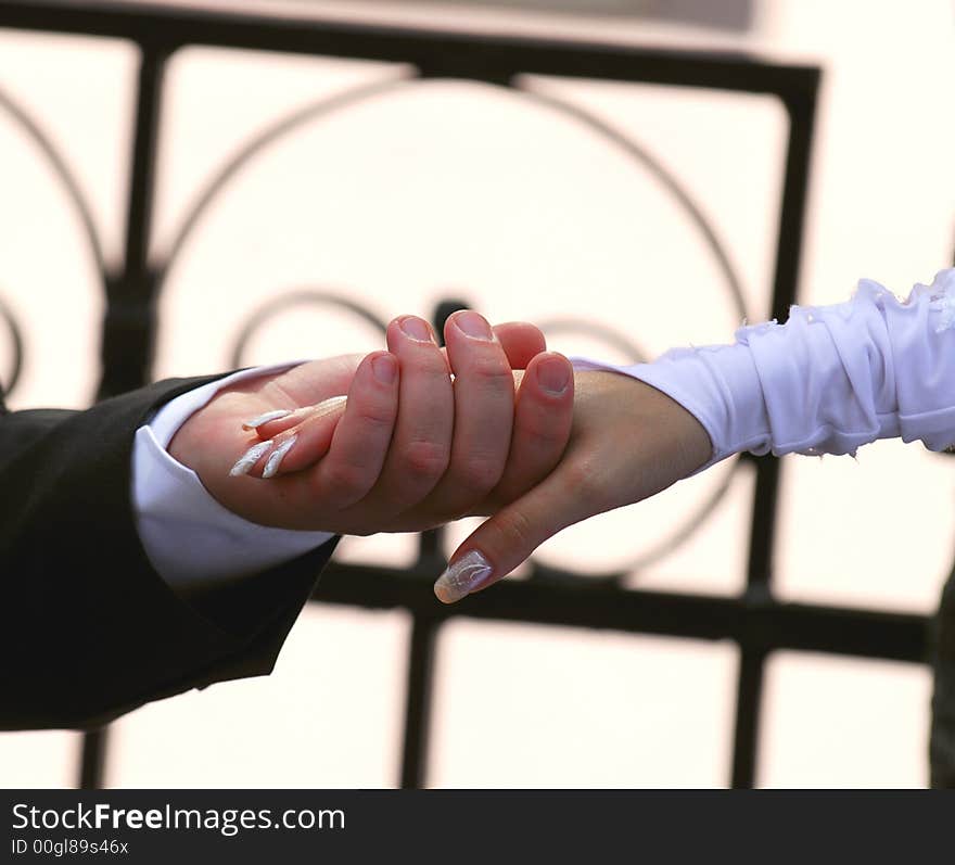 The hand of the bride lays in a hand of the groom. The hand of the bride lays in a hand of the groom