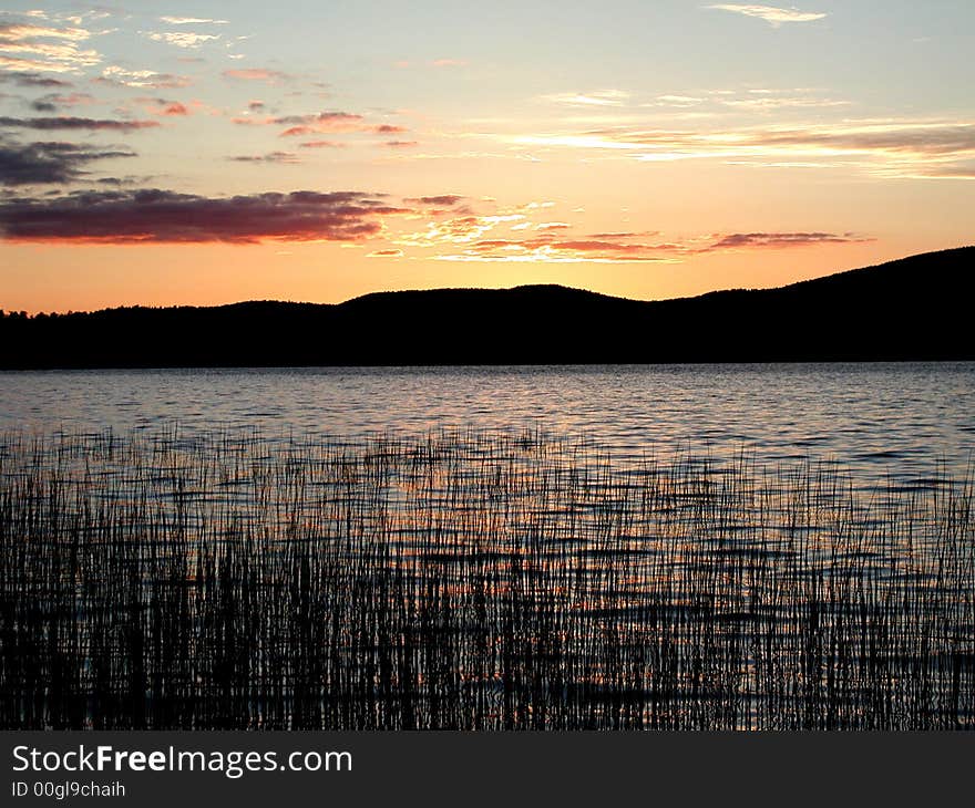 Summer Sunset Over A Reed Lake