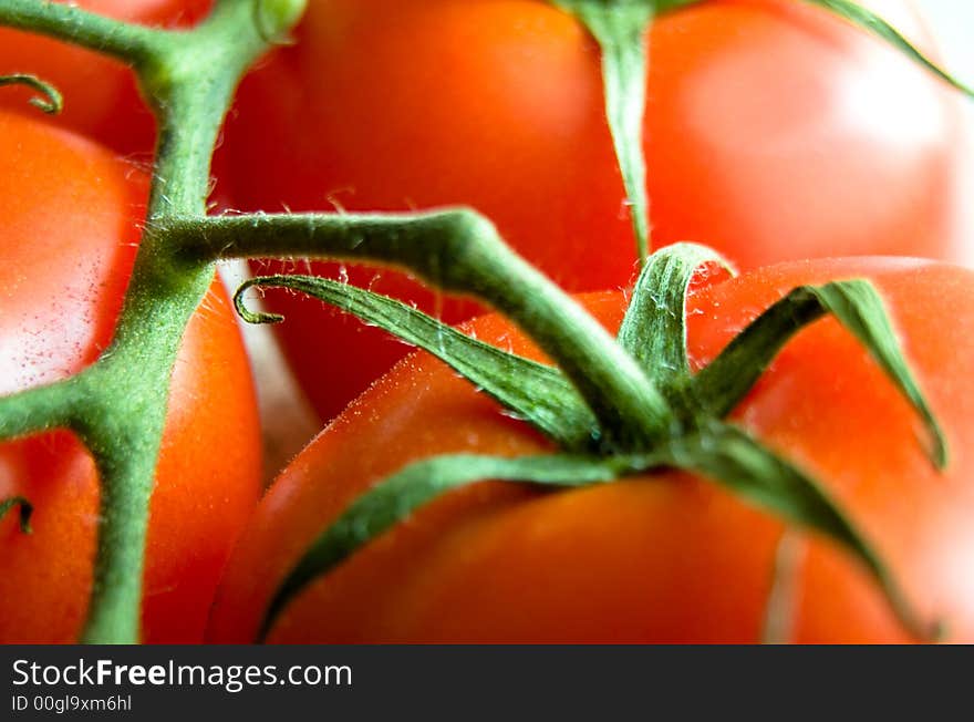 Close up shot of tomatos