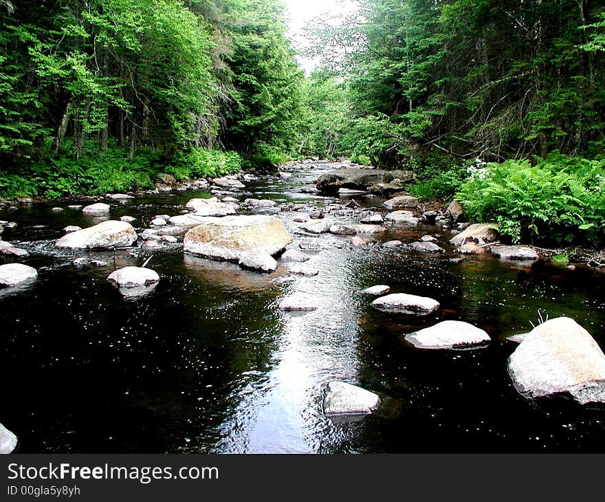 An upriver shot of a wilderness landscape. An upriver shot of a wilderness landscape