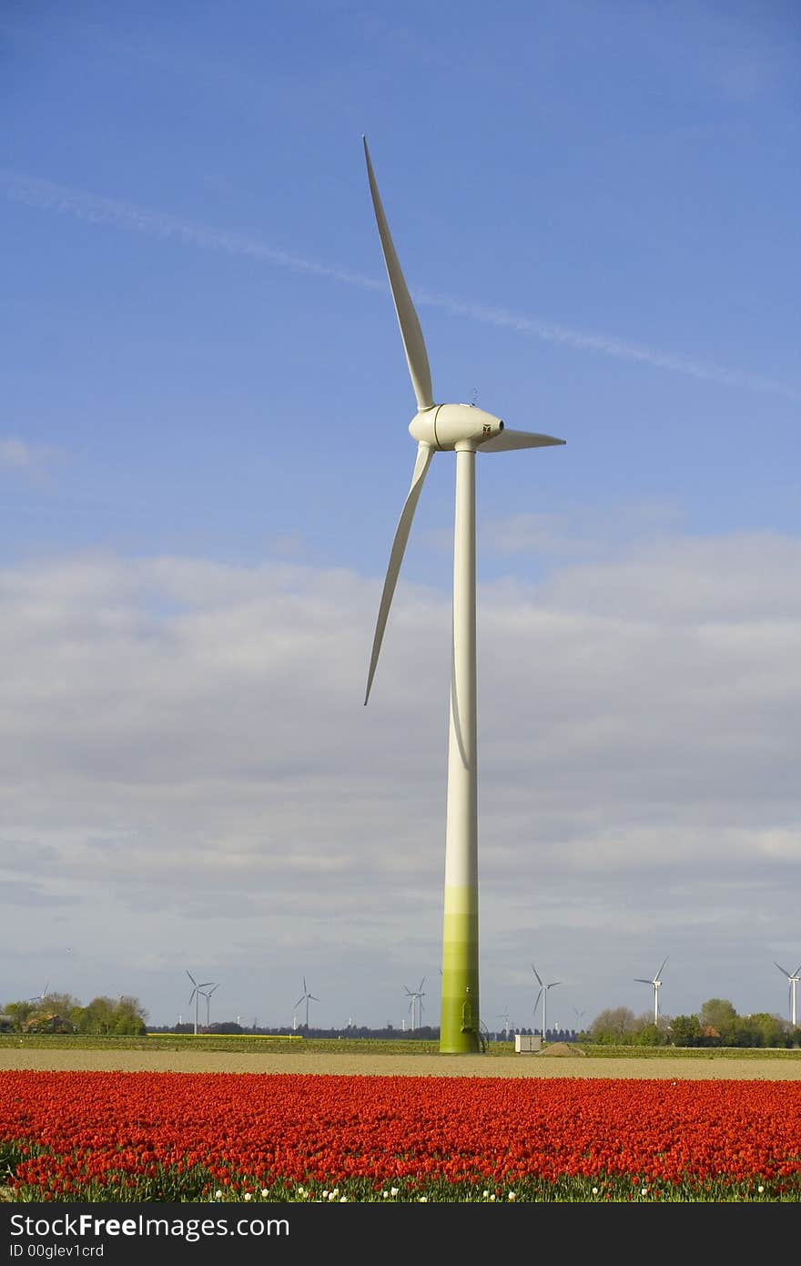 Windturbine behind tulips