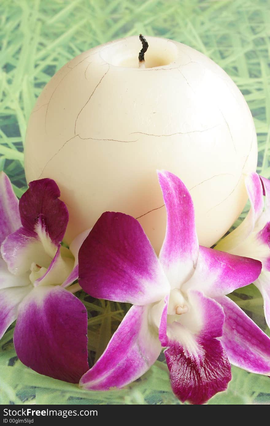 White candle and orchids in green background