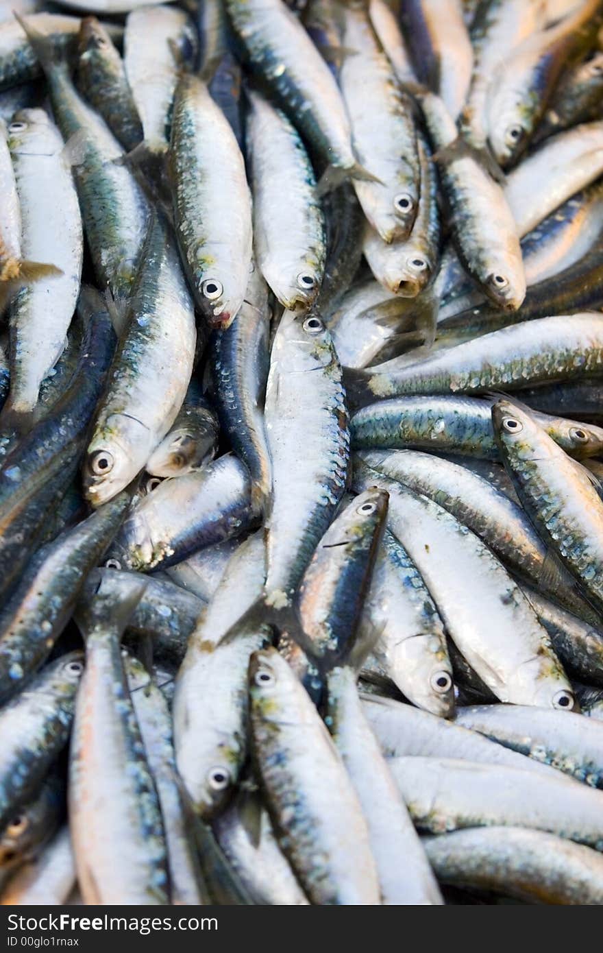 Fresh sardines in market