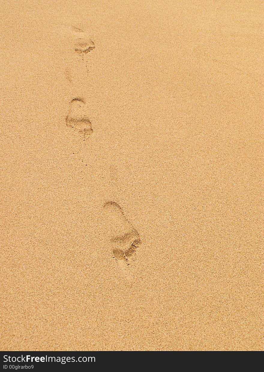 Footprints in the Sand