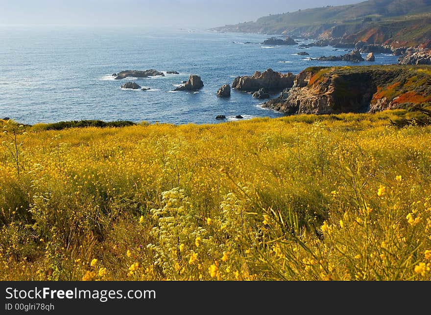 The California coast by Big Sur