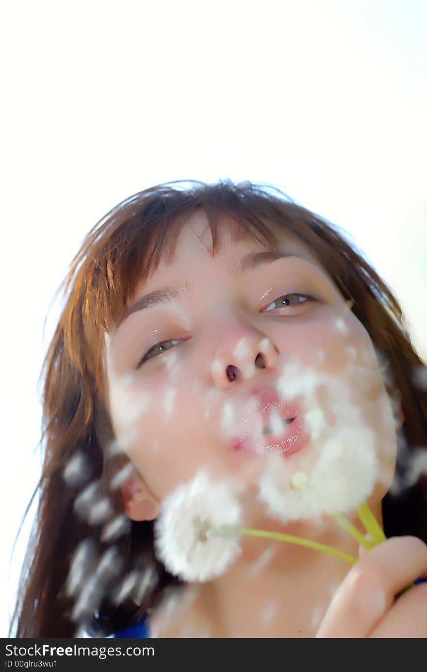 Portrait of  young girl which blows on dandelions in hands on  white background. Portrait of  young girl which blows on dandelions in hands on  white background