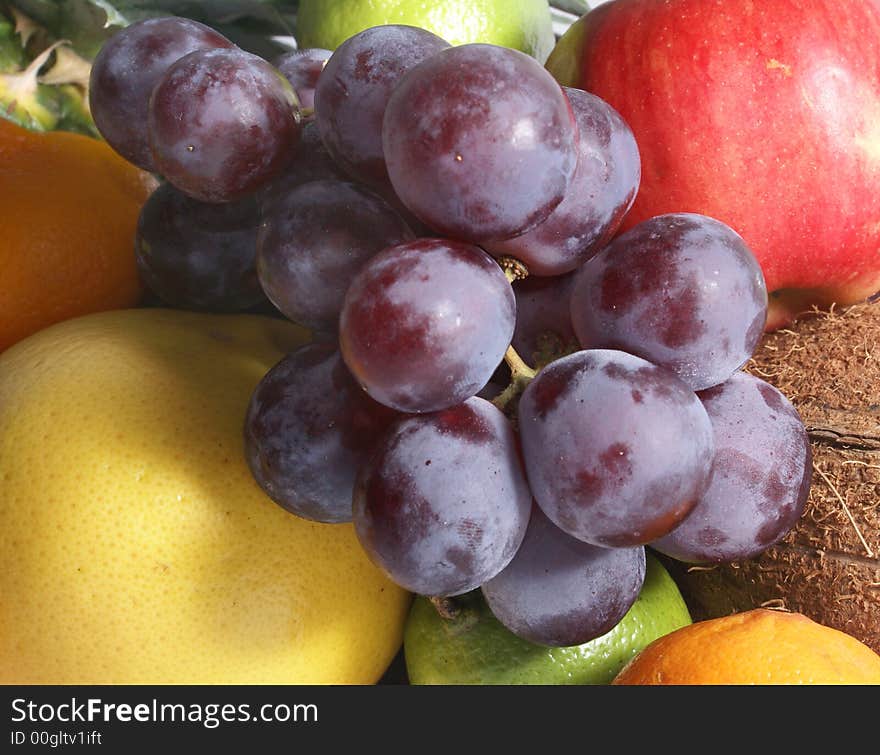 Set of different bright tasty fruits. Set of different bright tasty fruits