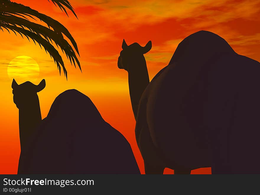 3D render of camel and sunset