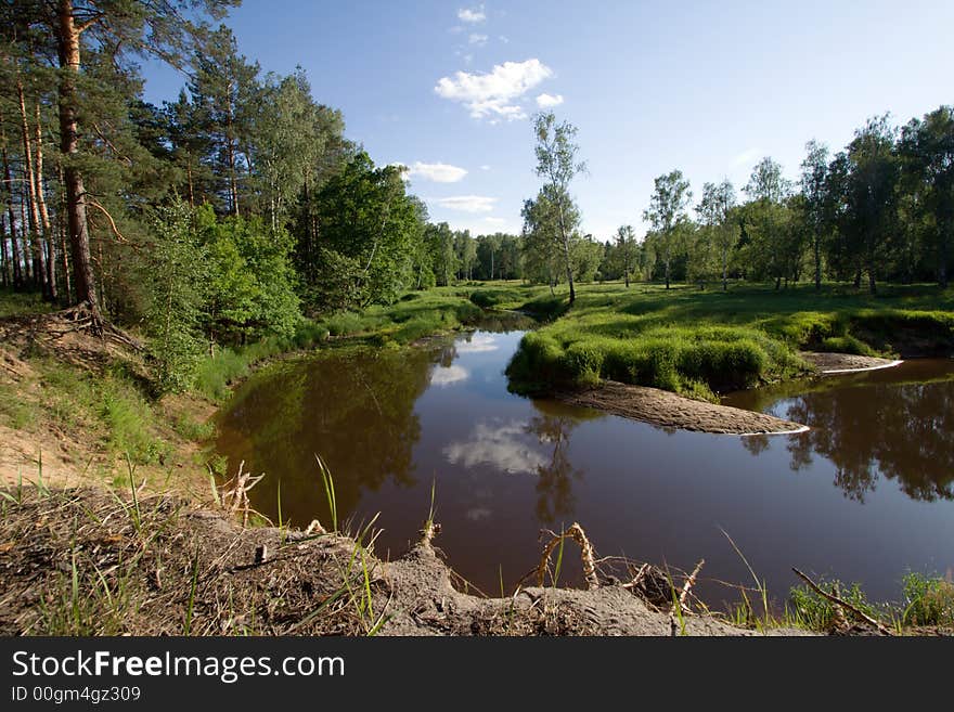 Sunny day near small river at forest. Sunny day near small river at forest